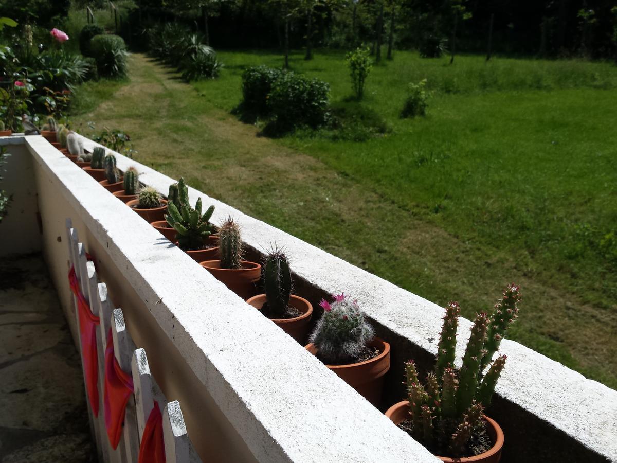 13 Bees Acomodação com café da manhã Confolens Exterior foto